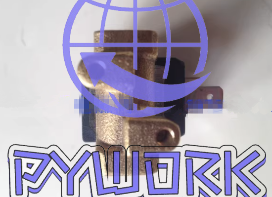 1Pcs FIT FOR CEME 5510VV2,0S..A57 Solenoid valve 5510VV20SA57 AC230V~