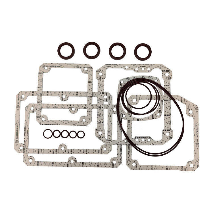 Busch RA0302D RA0250D Vacuum Pump Repair Kit - Complete Maintenance Set
