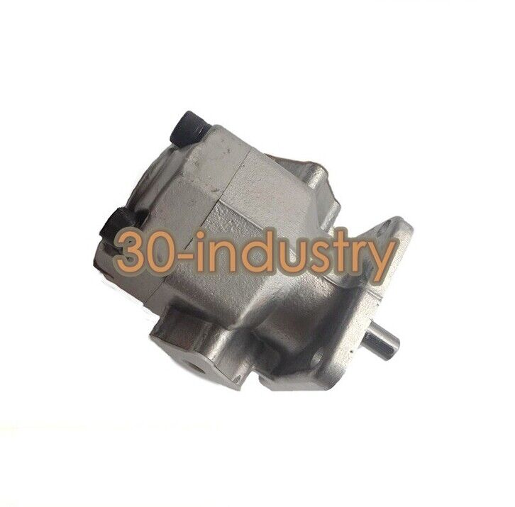 1PCS New For REXPOWER Gear Pump RGP-2A-F05R - KOEED