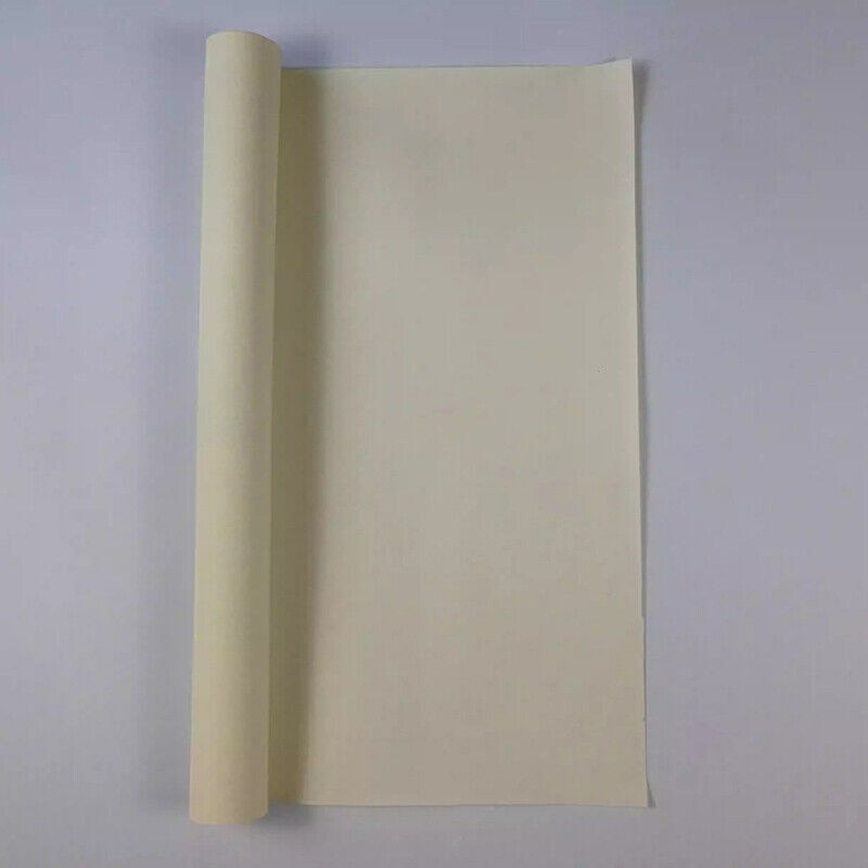 AMI-7001S For Anion Exchange Membrane 8cm×8cm 10cm×10cm 10×20cm 20×20cm