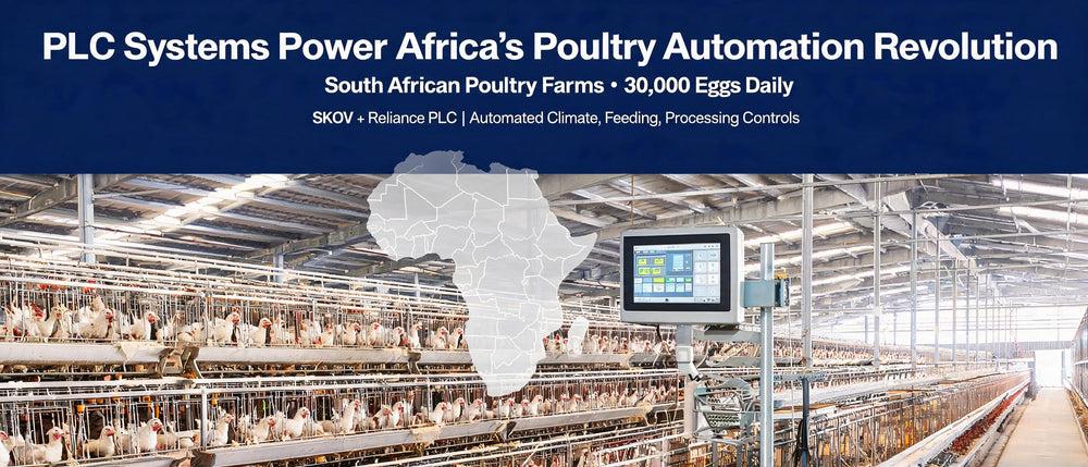 PLC Systems Power Africa's Poultry Automation Revolution
