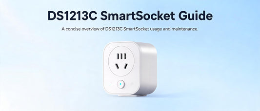 DS1213C SmartSocket Guide