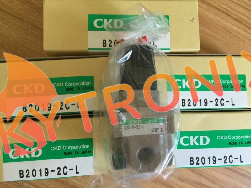 1PCS CKD B2019-2C-L