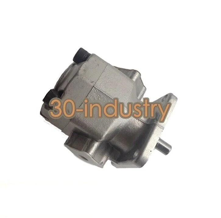 1PCS New For REXPOWER Gear Pump RGP-2A-F05R - KOEED [1]