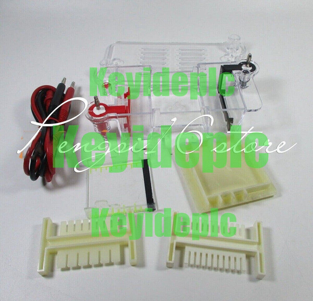 27022 Electrophoresis Tank High School Biological Equipment 122-3122 #ke