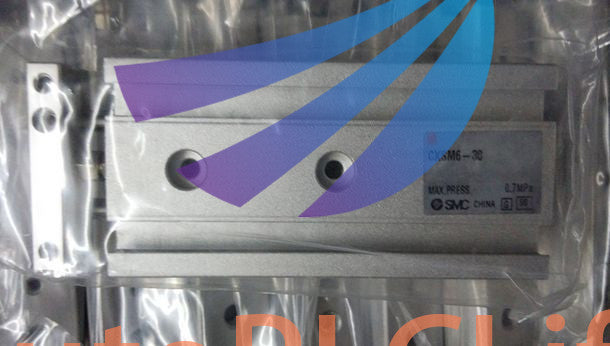 1PC SMC CXSM6-30 CXSM6 30