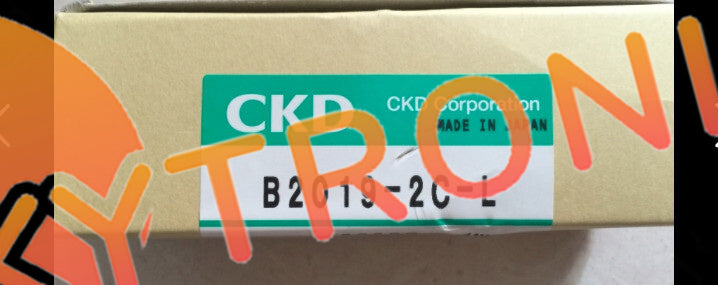1PCS CKD B2019-2C-L
