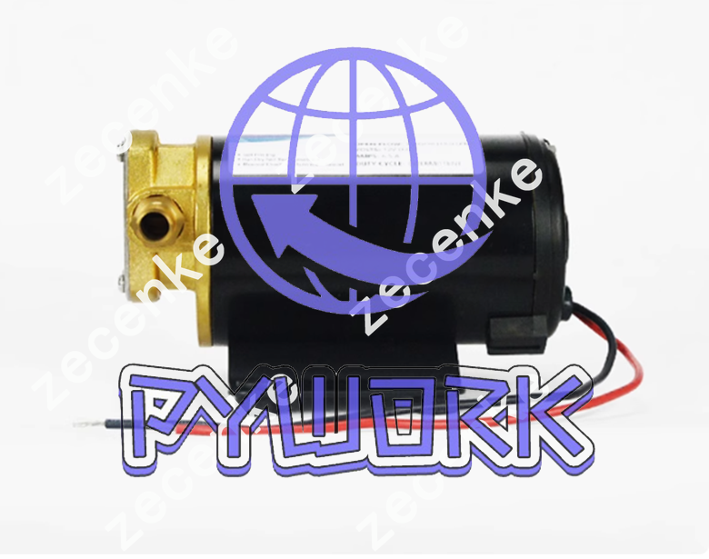 1Pcs Surgeflo small electric gear oil pump FP-24 24V