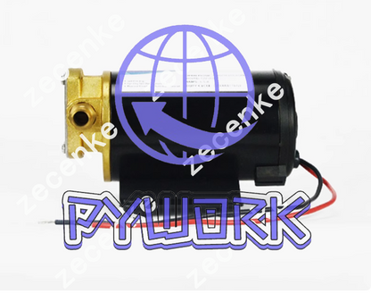 1Pcs Surgeflo small electric gear oil pump FP-24 24V