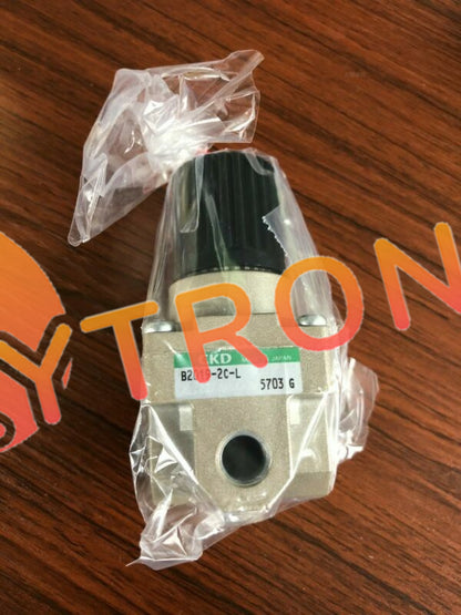 1PCS CKD B2019-2C-L