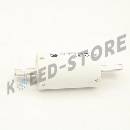 RS309-MD Fuse 125A 500V For RS309 MD 1PCS