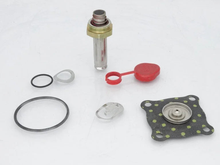 ASCO 302376 Spare Parts Kit - ASCO [1]
