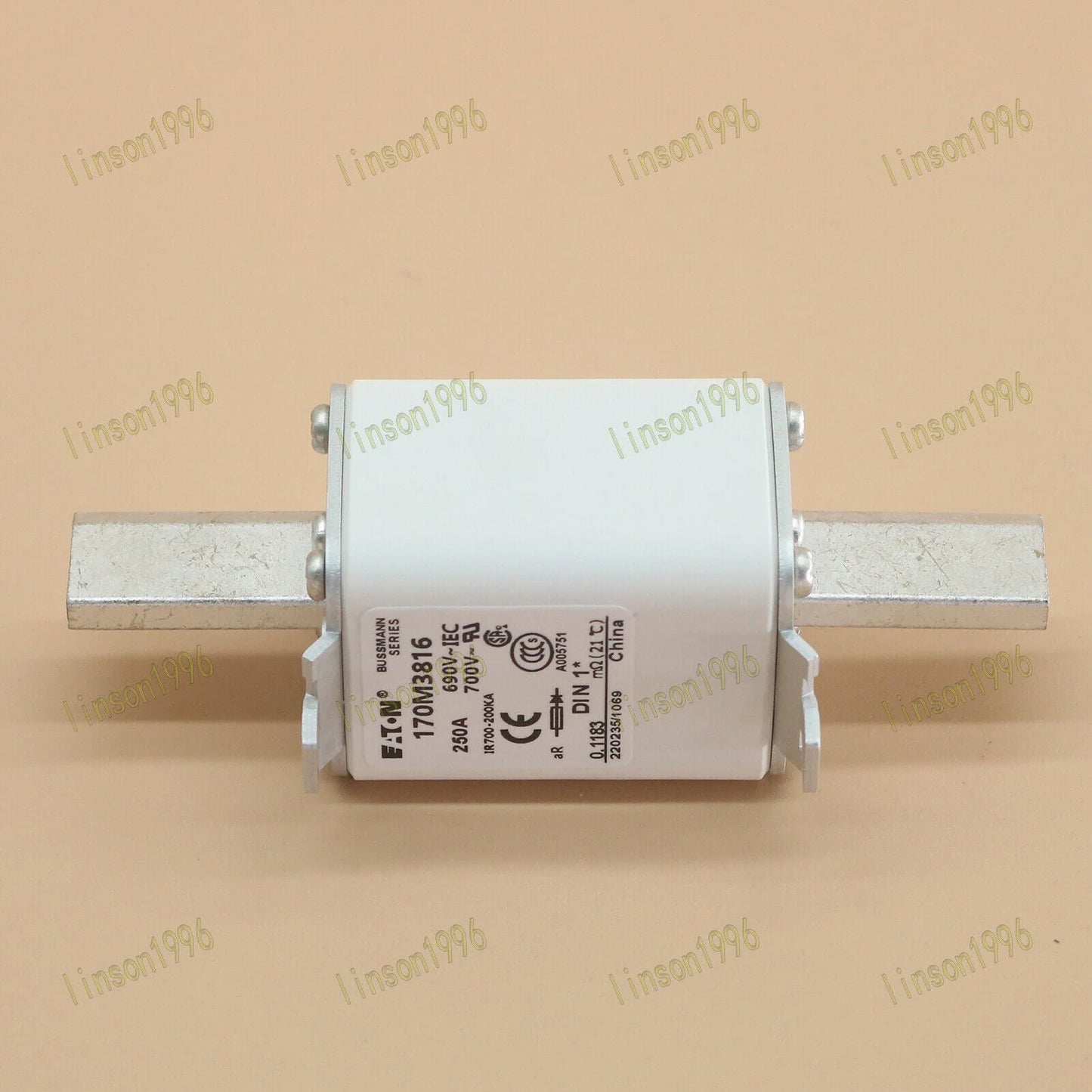Bussmann 170M3816 250A 690V Fuse - BUSSMANN [1]