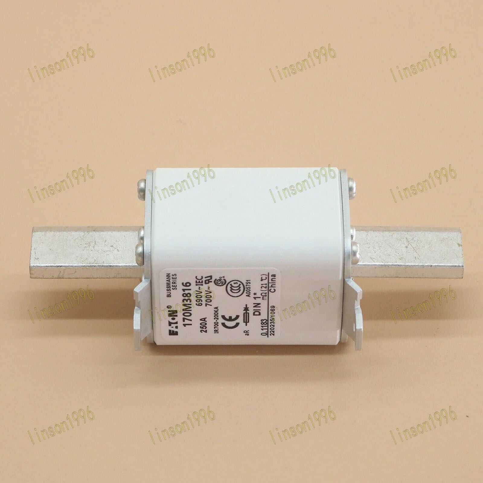 Bussmann 170M3816 250A 690V Fuse - BUSSMANN [1]