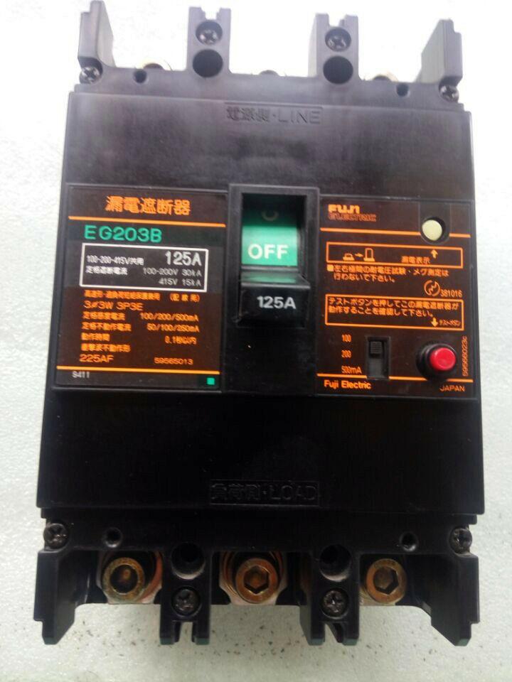 EG203B_125A - FUJI
