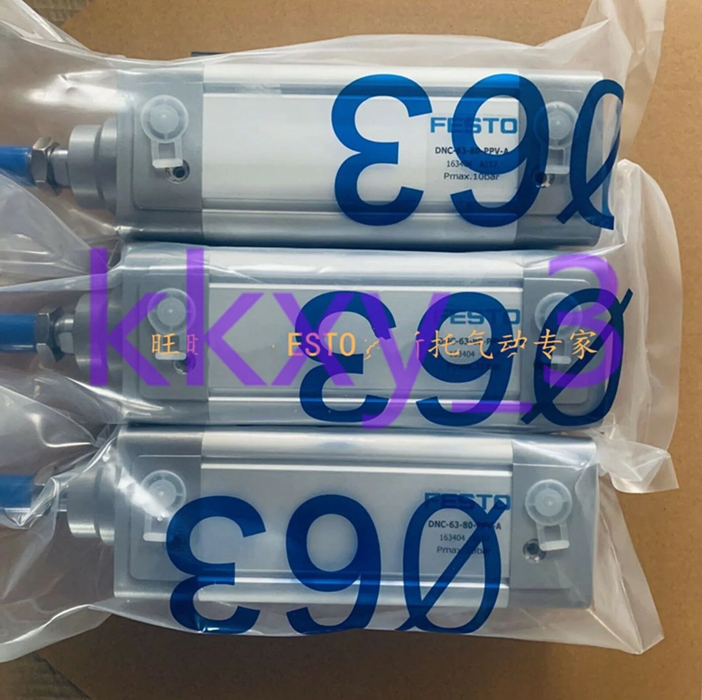 FESTO Cylinder DSBC-80-125-PPVA-N3 - FESTO [1]