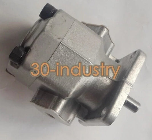 REXPOWER RGP-2A-F02R Gear Pump for Reliable Performance - REXPOWER [1]