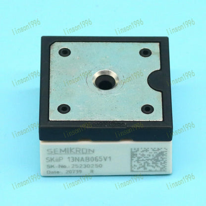 SEMIKRON Module SKIIP13NAB065V1 Fast Delivery - SEMIKRON [2]