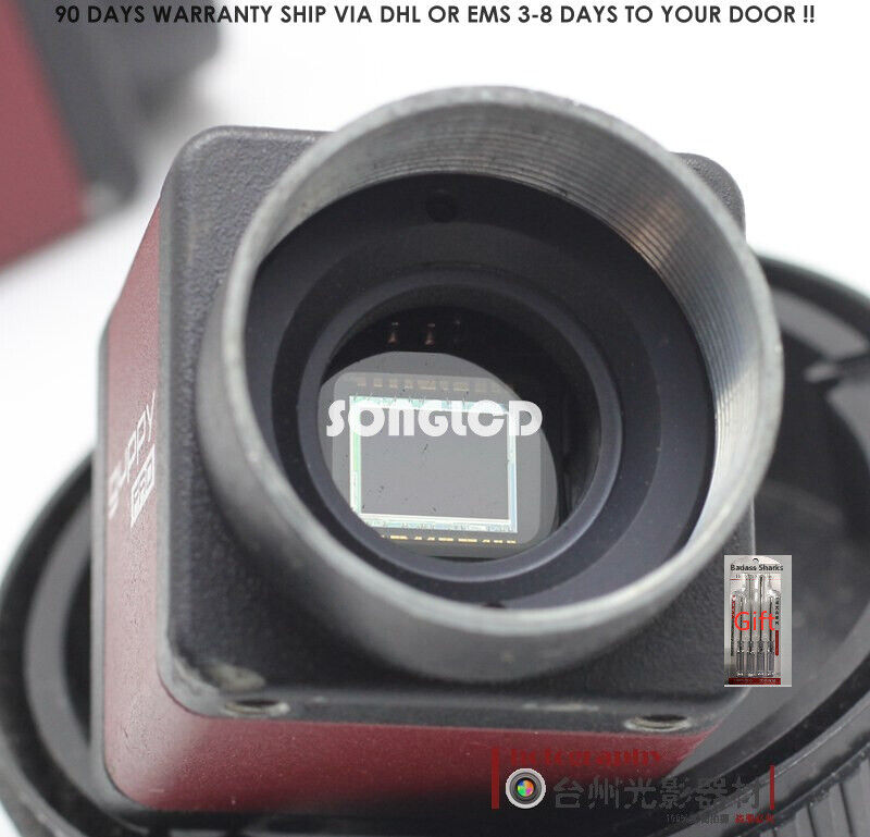 Allied GBF 201B CCD Camera with 1394B Interface - KOEED