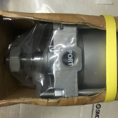 CDA2B100-100Z ONE YEAR SMC STANDARD CYLINDER - DELTA TOOLS