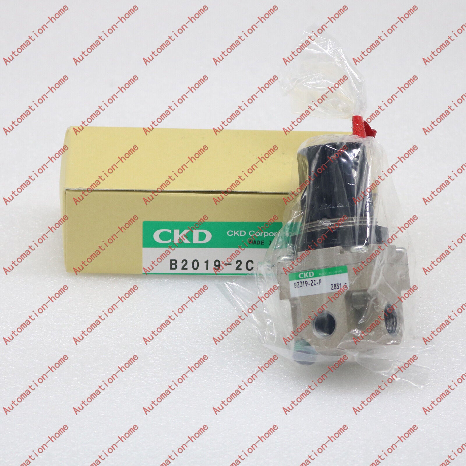 new 1PC  CKD B2019-2C-P pressure reducing valve