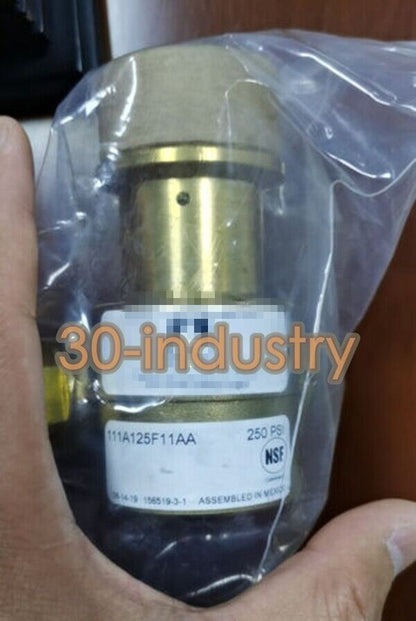 1PCS New For Rotary Vane Pump 111A100F11AA 250psi - KOEED