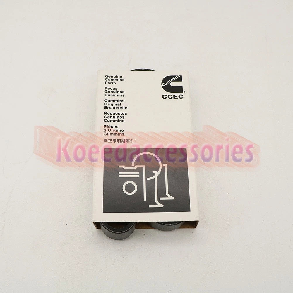 217638 Replaces for Cummins Diesel Engine NT855 Water Pump Belt 1PCS