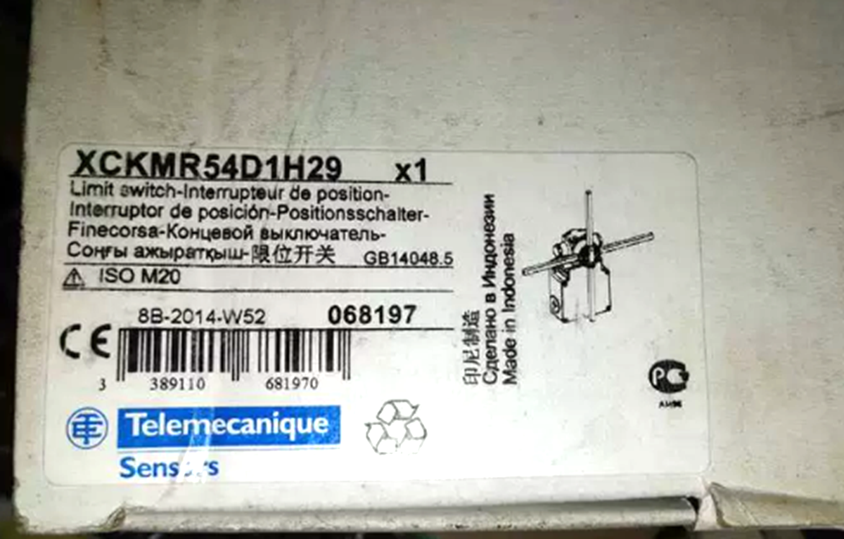 Telemecanique XCKMR54D1H29 Limit Switch Telemecanique