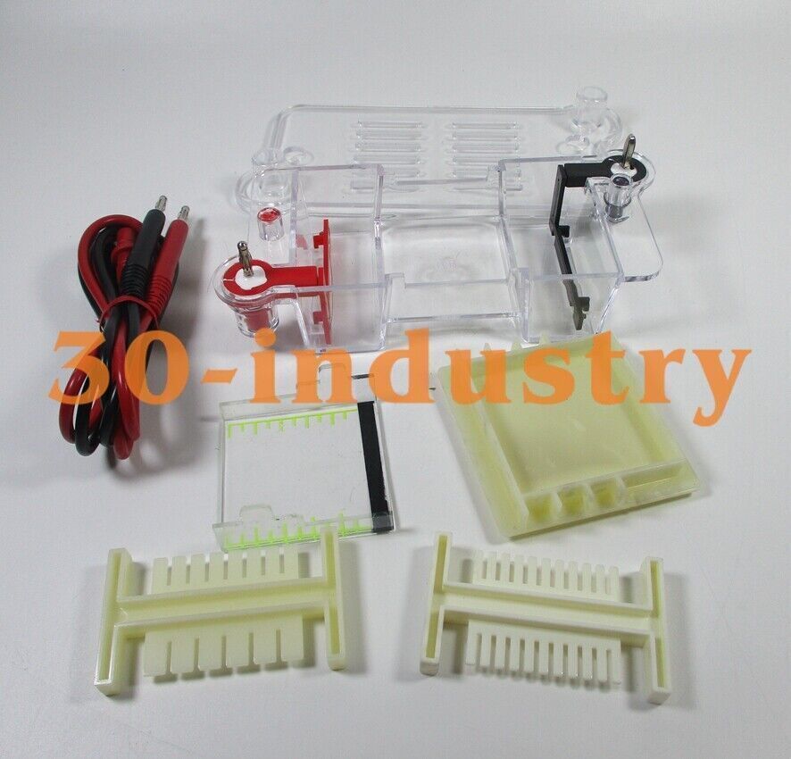 Horizontal Electrophoresis Tank High School Biological Equipment 122-3122 27022