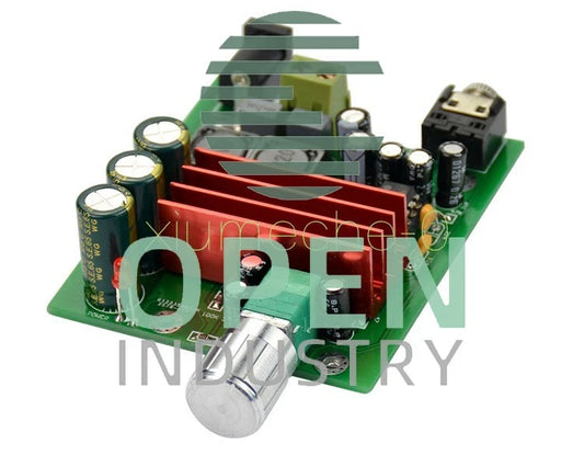1PCS TPA3116D2 Subwoofer Digital Power Amplifier 100W AMP Board Audio Module