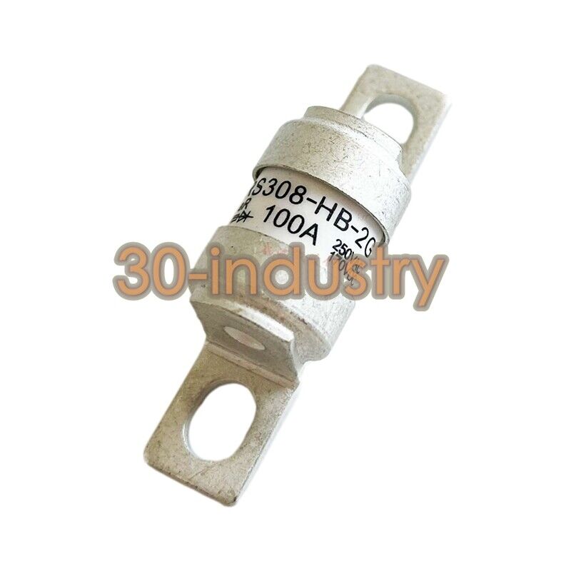 10 Pack of RS308-HB-2G100A Fuses - 100A 170VDC 250VAC - FUSE TECHNOLOGIES