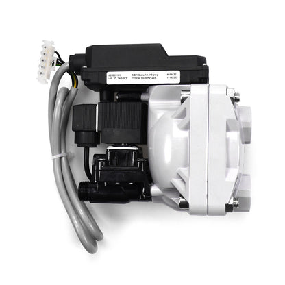 1PC 115V Drainage Drain Valve EWD 330 for Atlas 1622855181 EWD330M 2901146551 - ATLAS