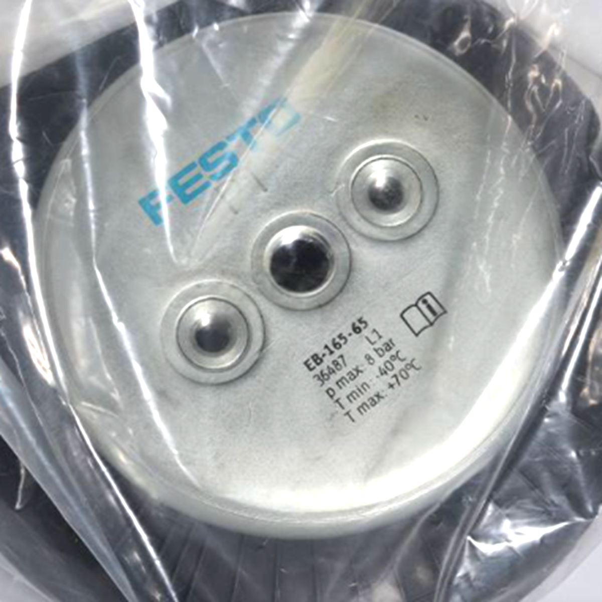FESTO EB-165-65 36487 Bladder Cylinder - FESTO
