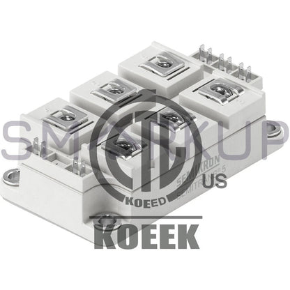 SEMIKRON SKKR300/0.2-BVR Power Supply Module