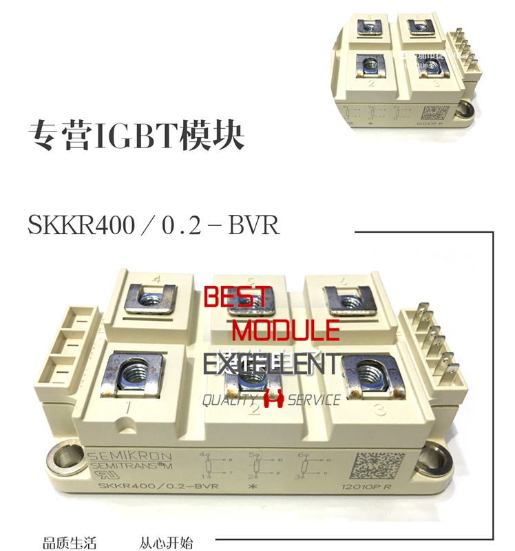 new 1PCS SKKR400/0.2-BVR SEMIKRON power supply module   Quality Assurance