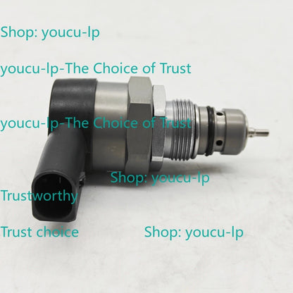 Fuel Rail Pressure Relief Valve 0281006074 Fits For Bosch VW Audi 057130764AB~