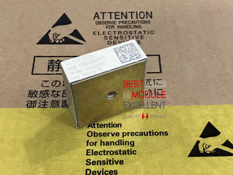 SEMIKRON SKIIP13NAB065V1 Power Supply Module - SEMIKRON