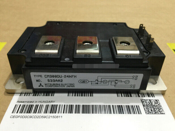 new 1PC  Mitsubishi CM300DU-24NFH IGBT Module CM300DU24NFH