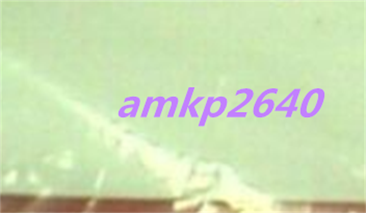 Transfer Belt Assembly C5240-5255 - INDUSTRIAL EQUIPMENT