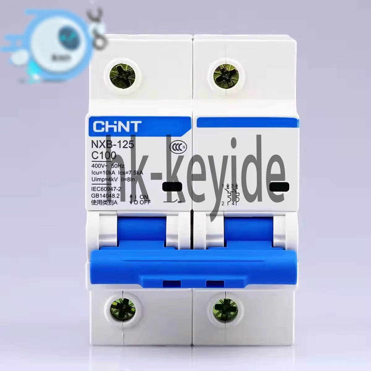 1Pcs For CHINT Air Switch Circuit Breaker Type C NXB-125 C100 2P 100A