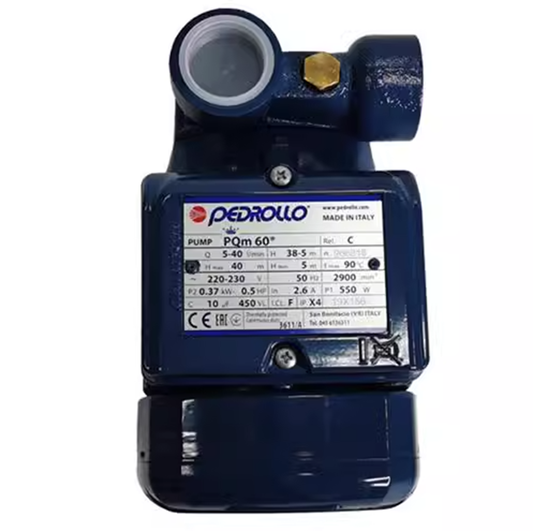 High-Pressure Circulating Water Pump with Model PQM60, 220V - PEDROLLO
