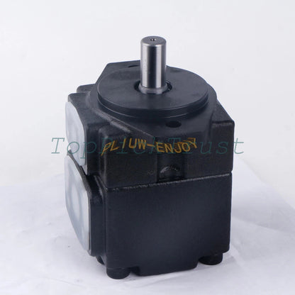 1PC PV2R1-31-F-RAA-43 Vane pump