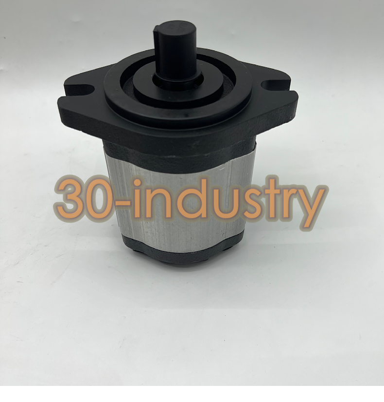 1PCS New For WINMOST EG-PB-16 High pressure oil pump - KOEED