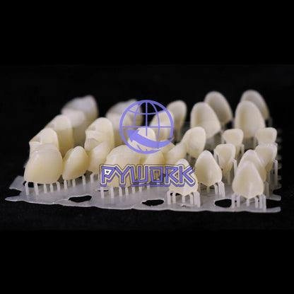LCD DLP Dental 3D Printer Temporary Teeth Resin Crown Bridge 3D Resin 1kg