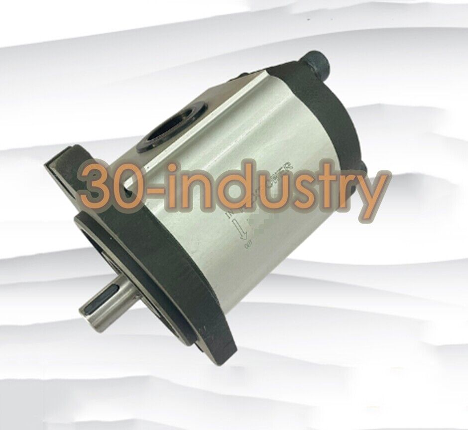 1PCS New For REXPOWER Oil pump gear pump RGP-F316R - KOEED