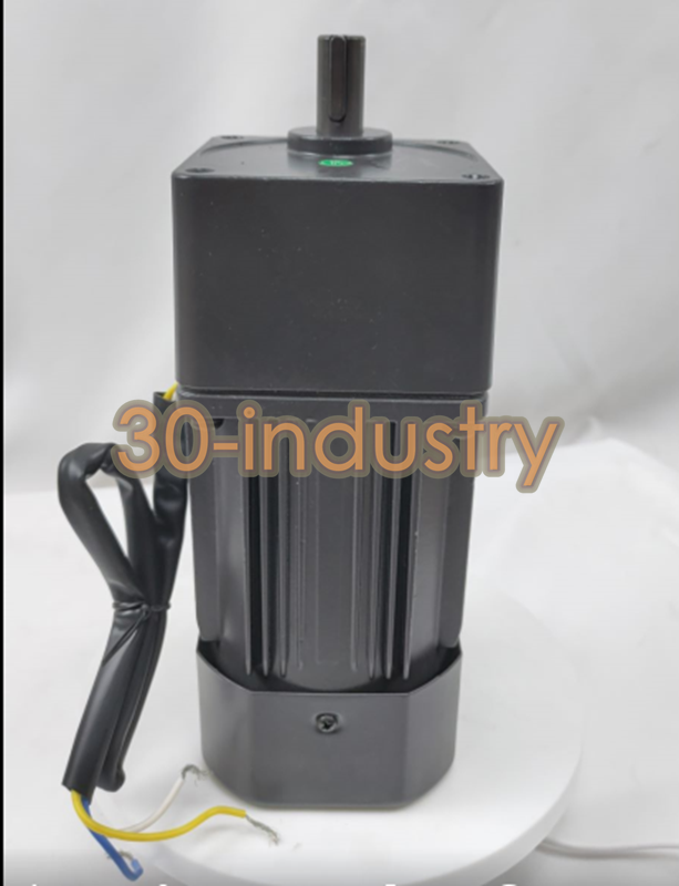 MAILI 200W Optical Shaft Motor 6RK200RGU-CF 220V Retarding Motor - MAILI