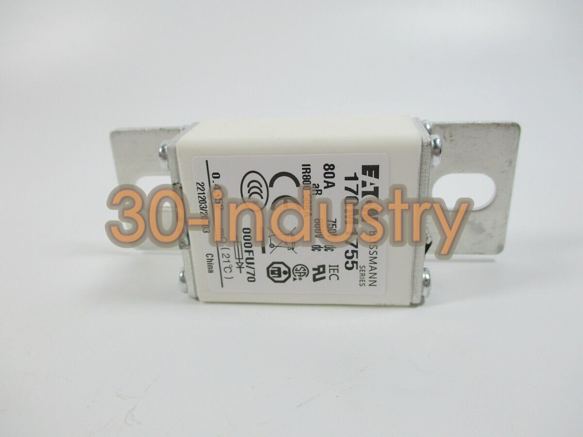 2-Pack Bussmann Fuse 170M1755 80A 750V - BUSSMANN