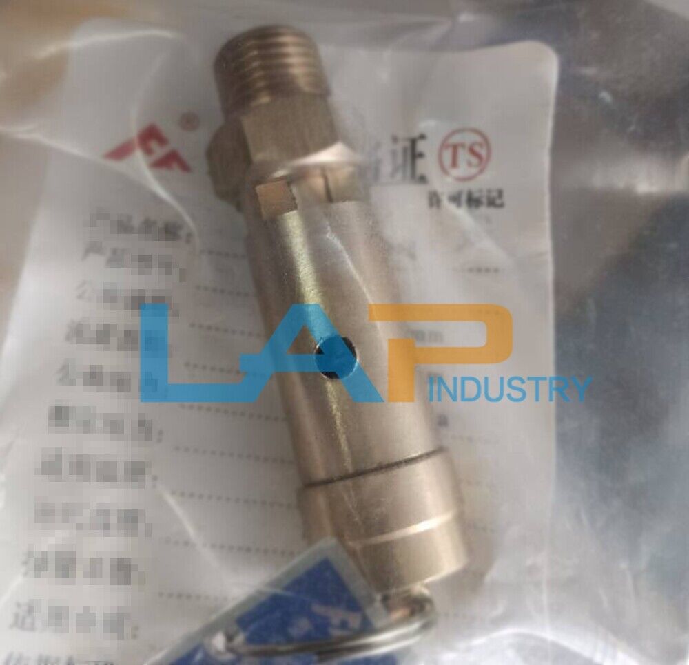 0830100768 Safety Valve for Copco Air Compressor - 1 Piece - COPCO