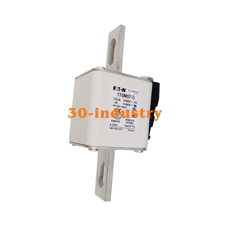 Bussmann Fuse 170M5738, 1250V, 250A - 1PC Replacement - BUSSMANN