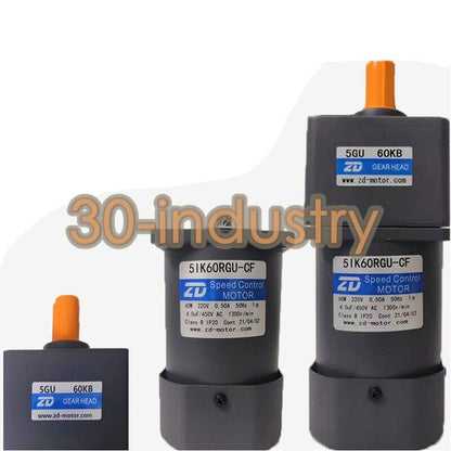 ZD 5IK60RGU-CF Gear Reducer Motor 220V 60W with Multiple Ratios - ZD